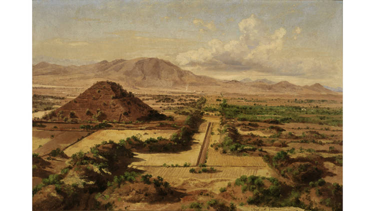 Foto: Cortesía Museo Nacional de Arte