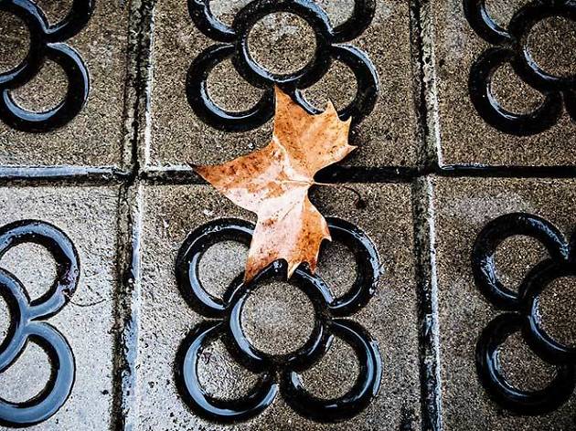 Tardor 2014, Barcelona, otoño