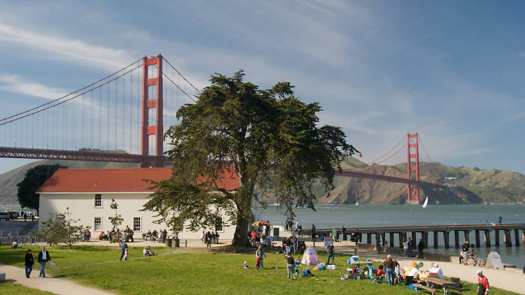 Crissy Field