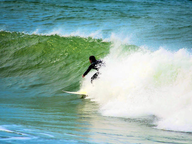 Surf Surf