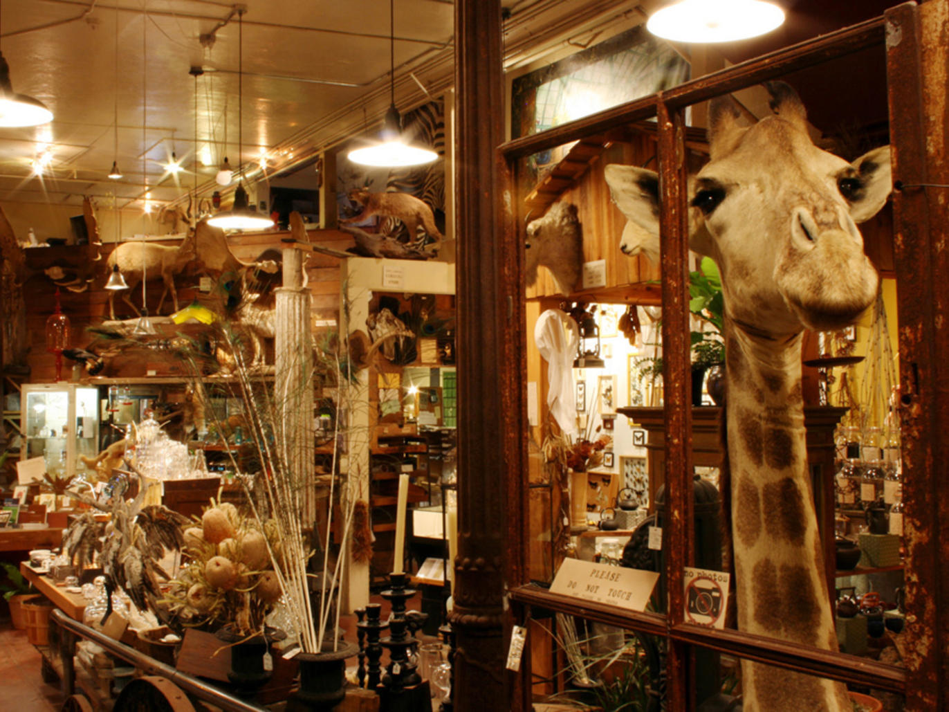 Best gift shops in San Francisco for design, jewelry and more—Time Out