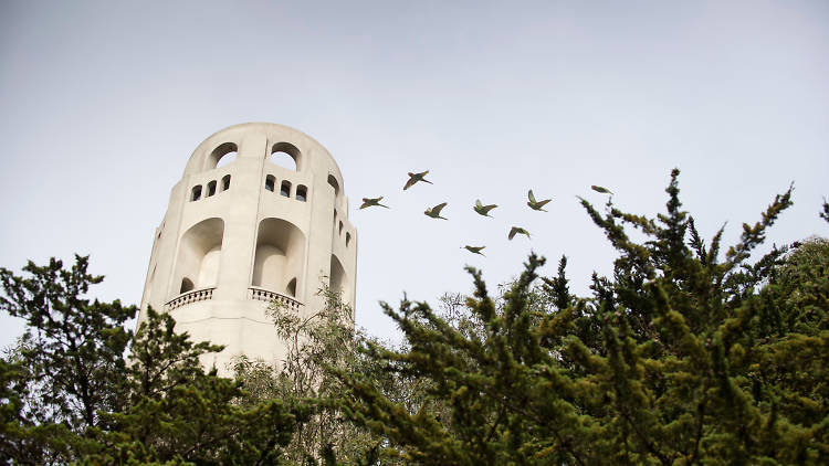 Coit Tower