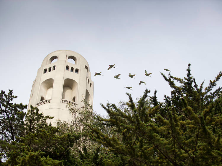 Coit Tower