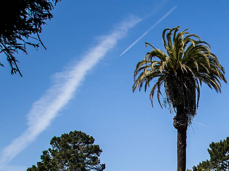 Golden Gate Park