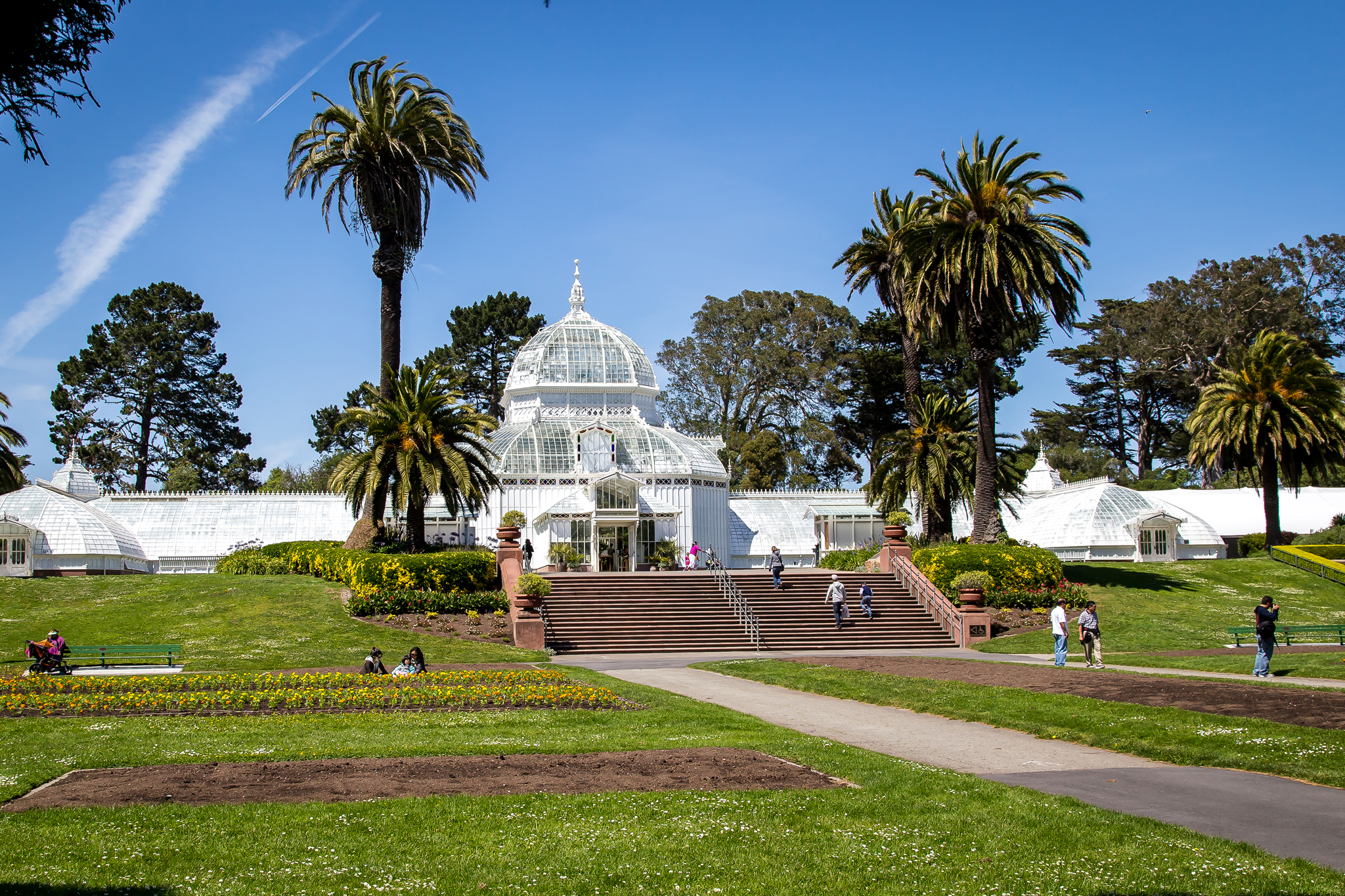 Sunset Golden Gate Park And Richmond Neighborhood Guide