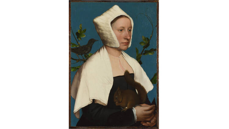 'A Lady with a Squirrel and a Starling' - Hans Holbein the Younger