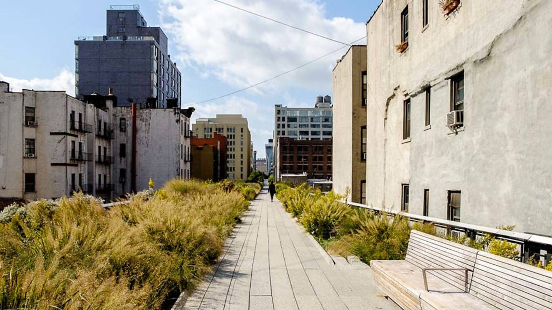 The Nyc Walking Tour Of The High Line The Nyc Walking Tour Of The High Line