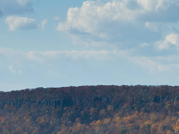 Wave Hill