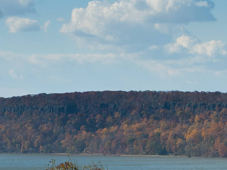 The NYC walking tour of Wave Hill in the Bronx