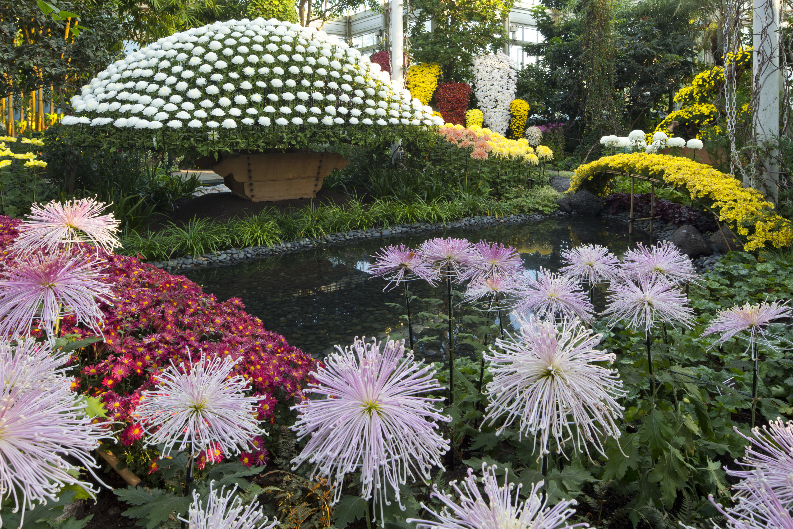 New York Botanical Garden guide including exhibitions and ...