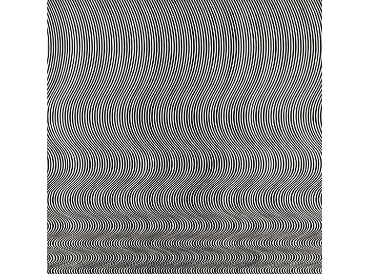 'Fall' - Bridget Riley