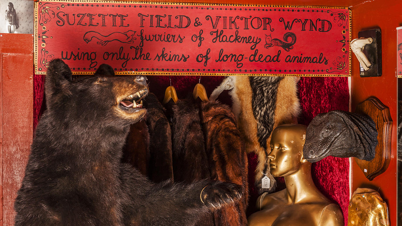 The Viktor Wynd Museum Of Curiosities Fine Art And Natural History Museums In Hackney London