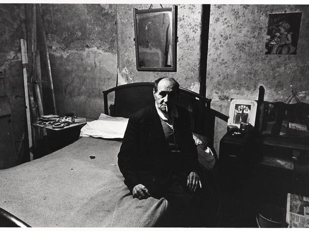 Image result for nick hedges