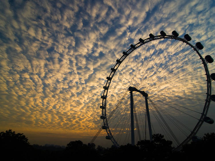 Get a bird's eye view on the Singapore Flyer