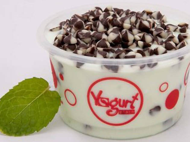 Yogurt Place Yogurt Place