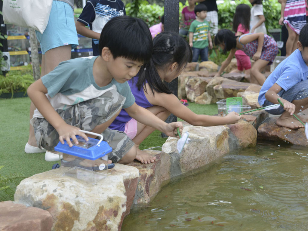 Longkang Fishing Singapore For Children And Kids