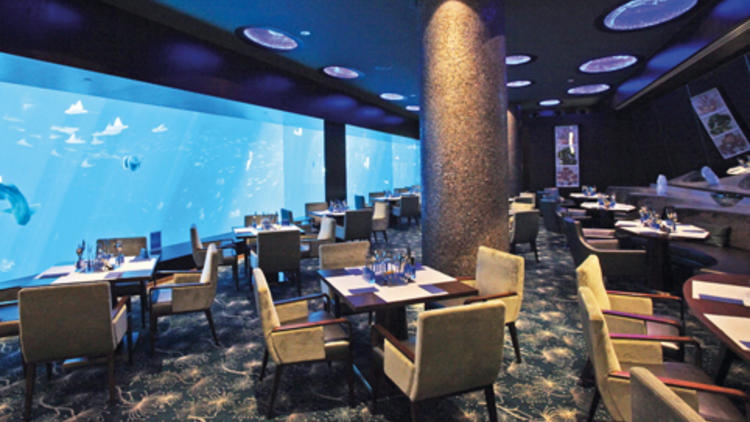 Ocean Restaurant by Cat Cora