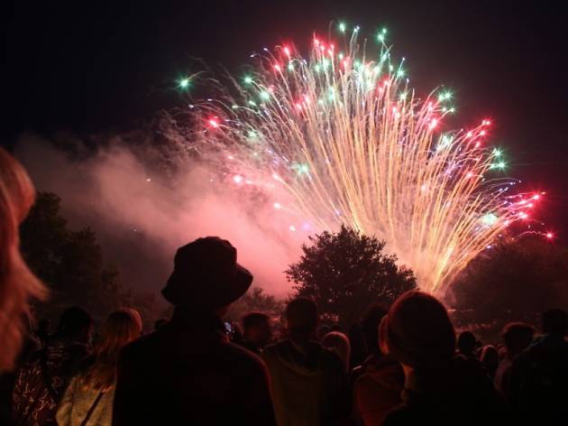 Coram's Fields Fireworks display