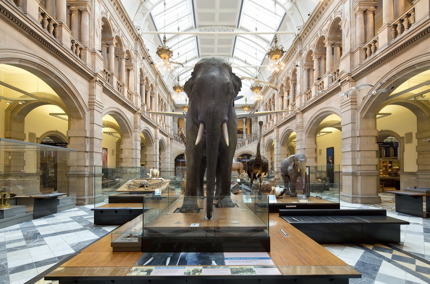 Glasgow's Best Art Galleries - Art shows and exhibitions - Time Out Glasgow