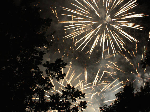 Hackney Firework Pyromusical Fireworks
