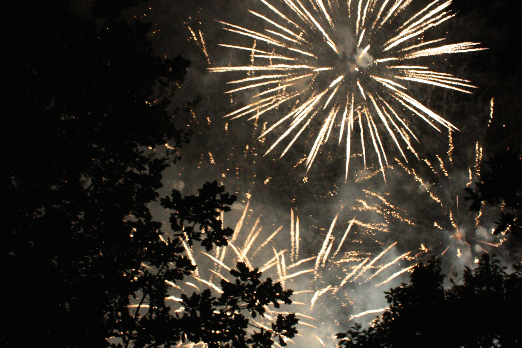 Hackney Firework Pyromusical | Things to do in London