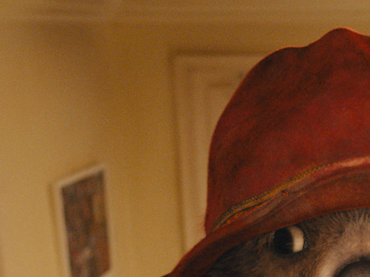Paddington Paddington