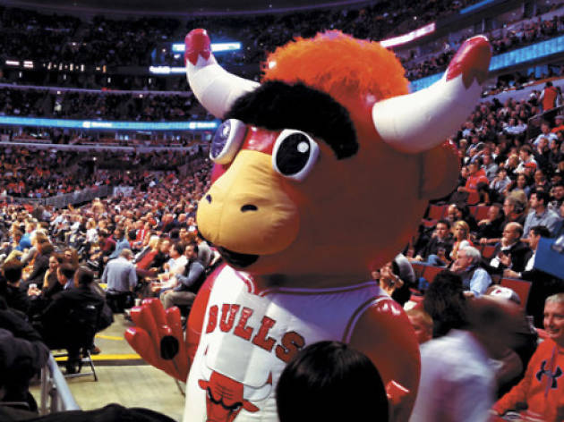Couldn't make it to the game? Here's where to catch the Bulls.
