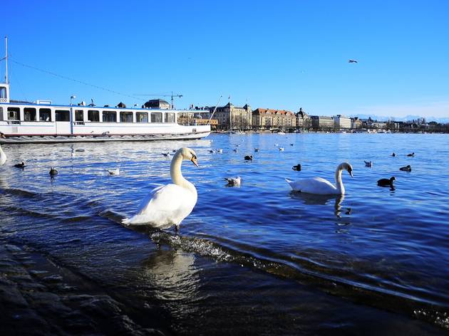 Bürkliplatz, General views, Lake Zürich Bürkliplatz, General views, Lake Zürich