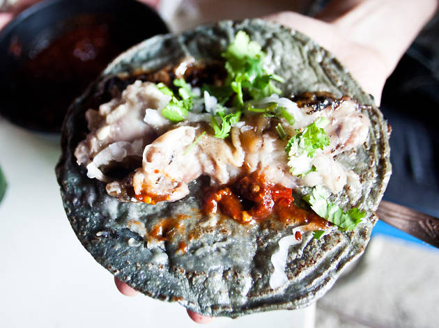 Tacos xidasam Tacos xidasam