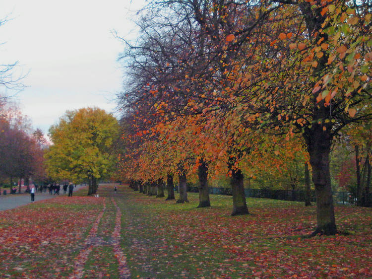 Victoria Park