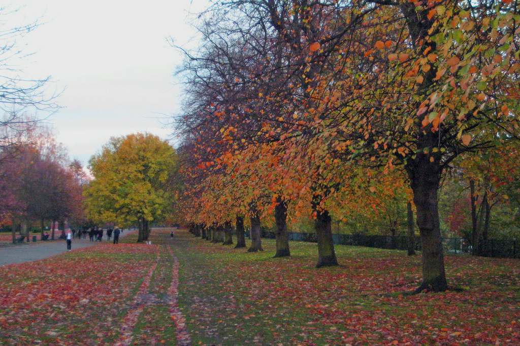 Best London Parks For Autumn Walks