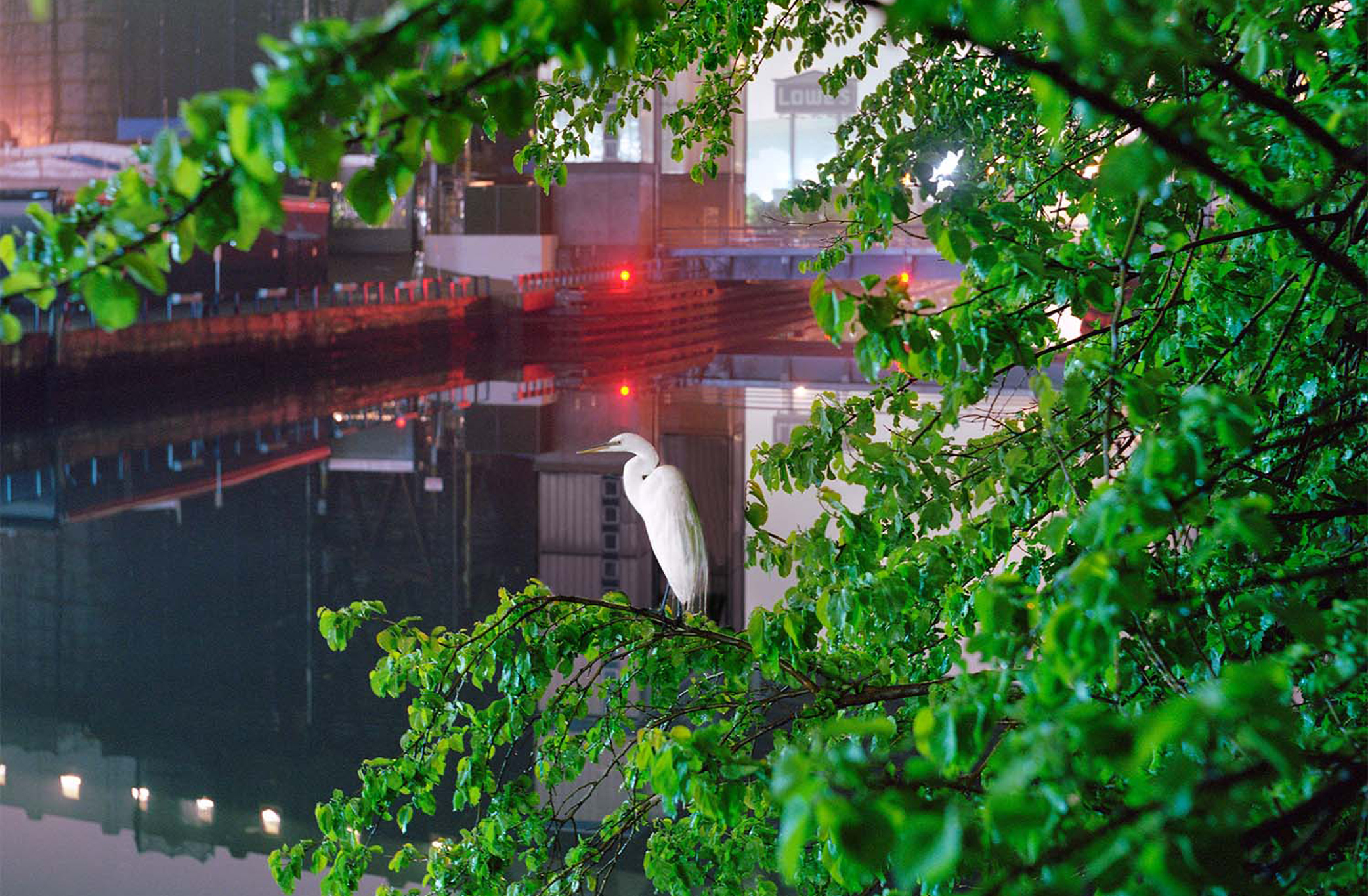 Gowanus, Brooklyn guide to the best of the neighborhood