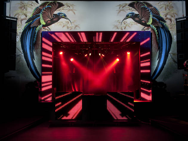 Plaza Plaza, Bar, Club, Burlesque Zürich