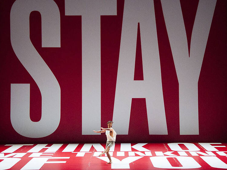 Photograph: Elyssa Goodman