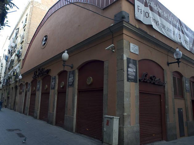 la paloma la paloma