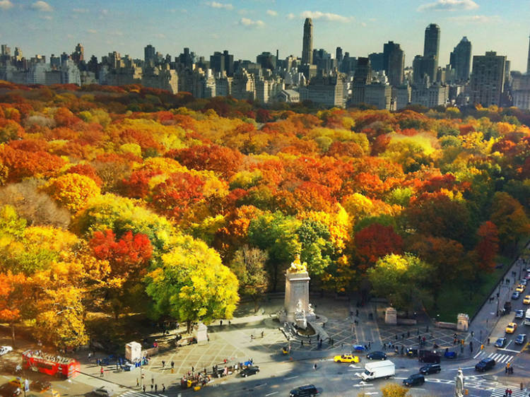 25 beautiful photos of fall in NYC