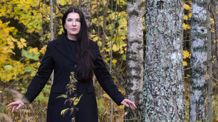 Marina Abramovic, Generator