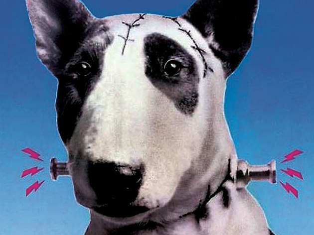 Frankenweenie Frankenweenie