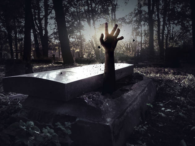 Zombie, halloween Zombie, halloween