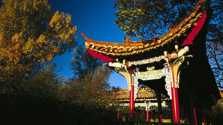 Chinagarten Zürich Chinese gardens