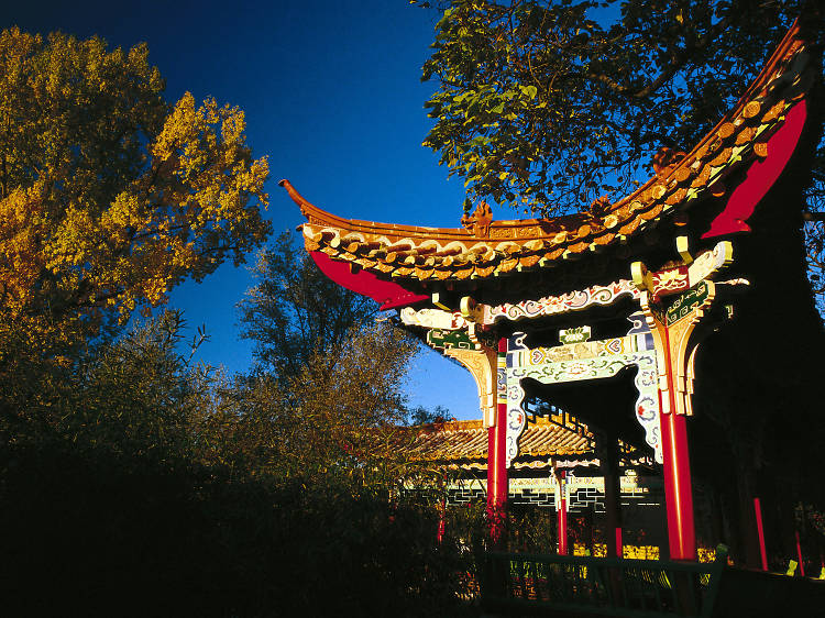 Chinagarten Zürich Chinese gardens