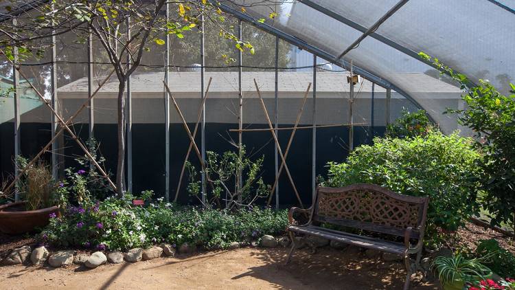 Spider Pavilion at the Natural History Museum of Los Angeles