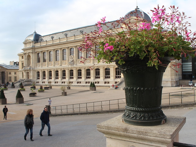 Jardin des plantes Jardin des plantes