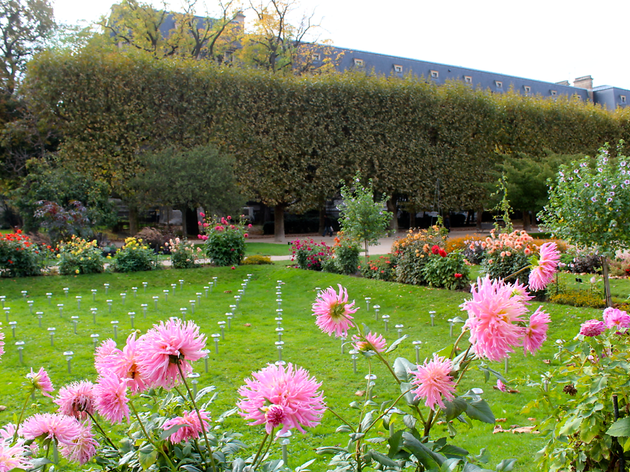 Jardin des plantes Jardin des plantes