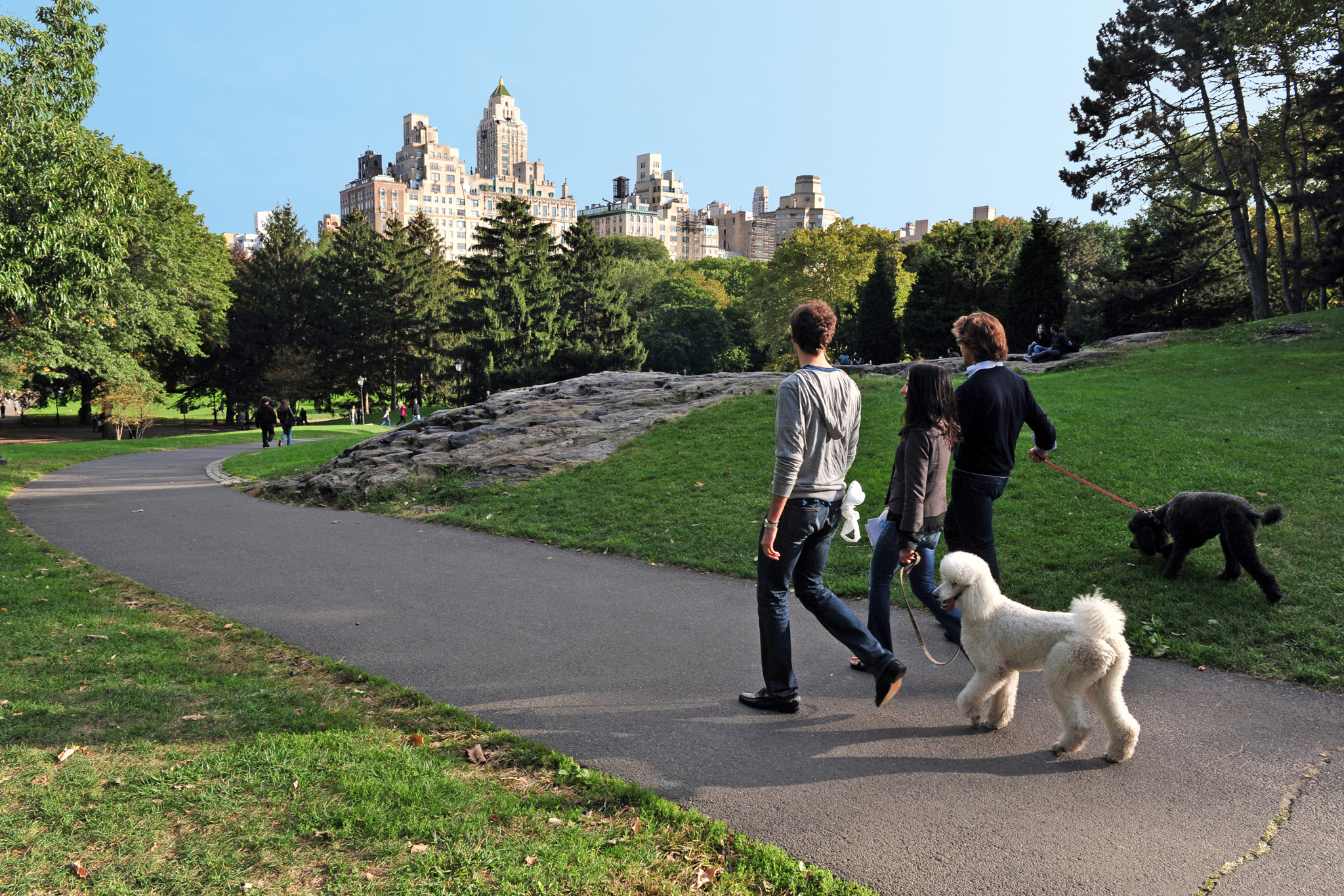 Фото прогулка с собакой в парке
