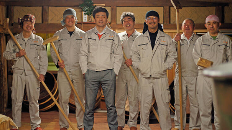sake masters sake masters