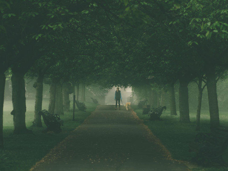 Creepy Greenwich Park