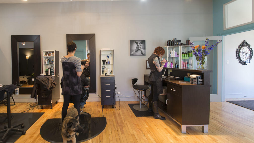 chicago hair salons