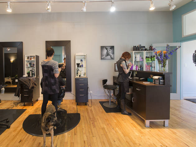 Hair Salons In Chicago For Hair Cuts Color And Blowouts