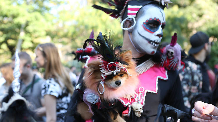 Tompkins Square Park Halloween Dog Parade